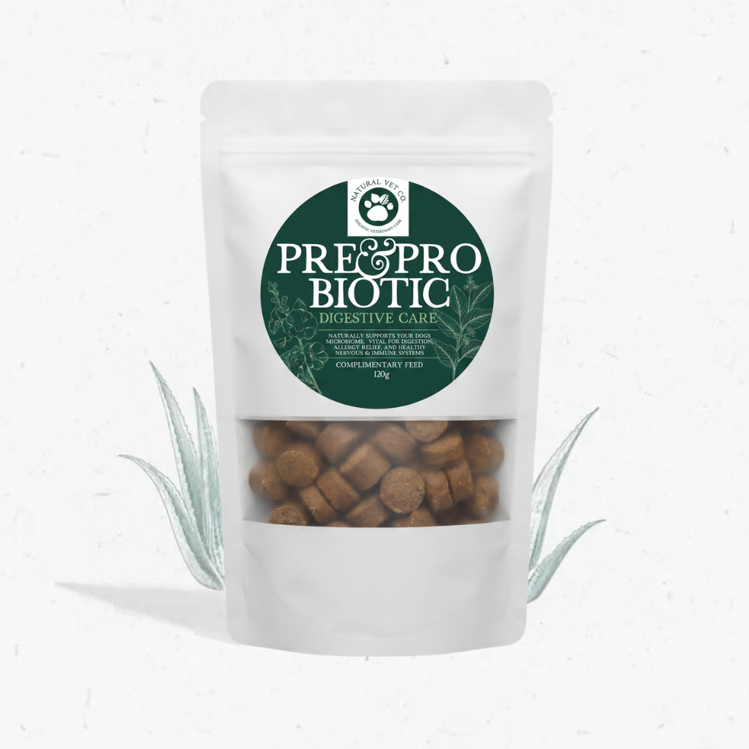 NEW 120g Digestive Health Pouch