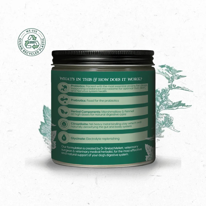 Pre & Pro Biotic Digestive Care 300g