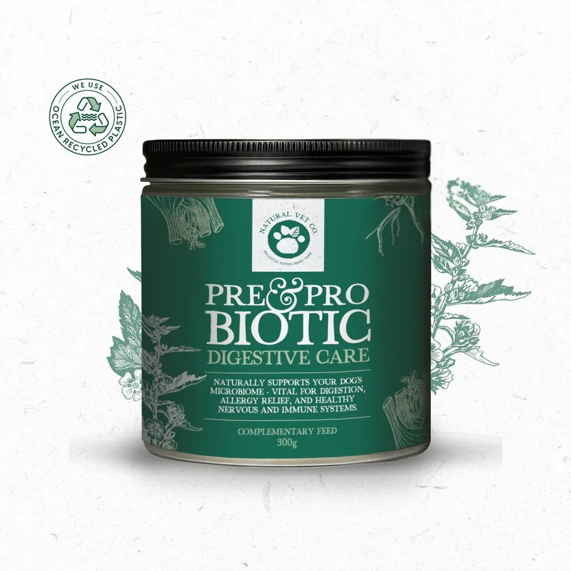 Pre & Pro Biotic Digestive Care 300g
