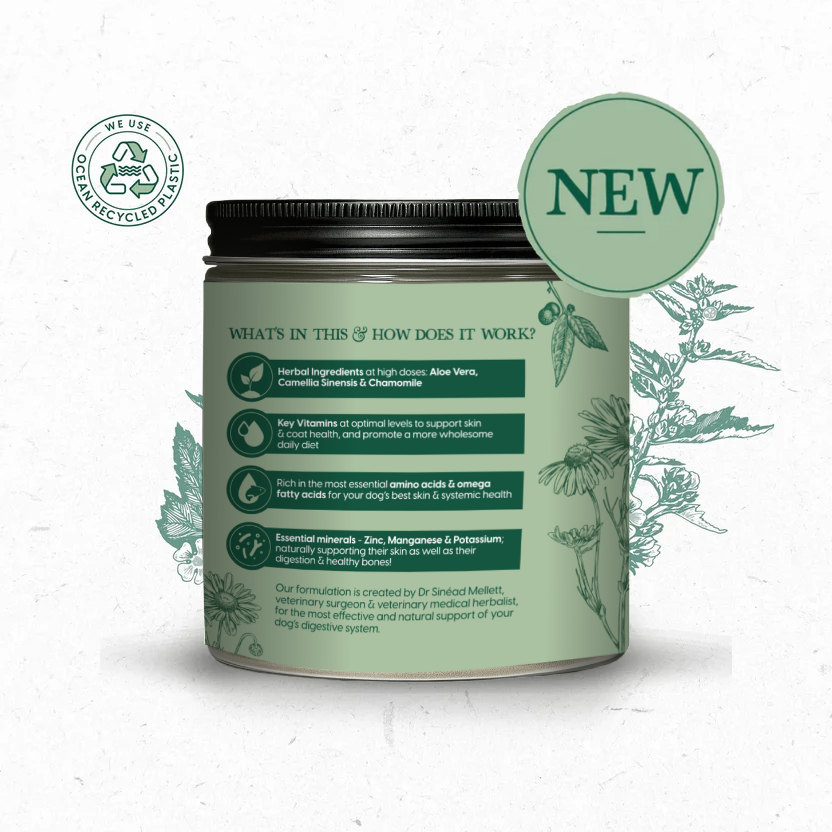 NEW Skin & Coat 300g