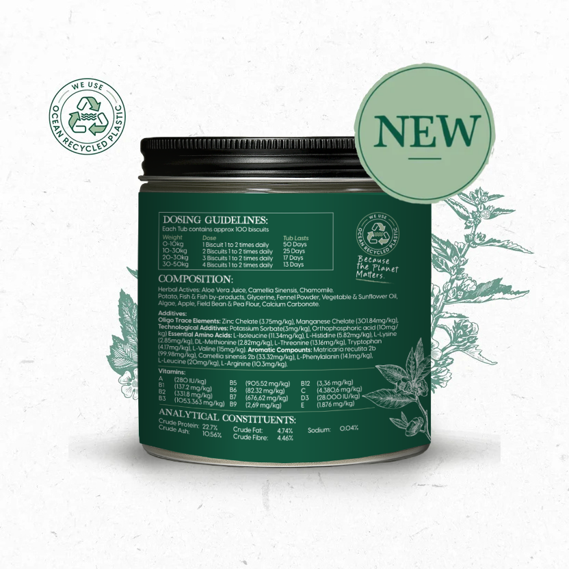 NEW Skin & Coat 300g