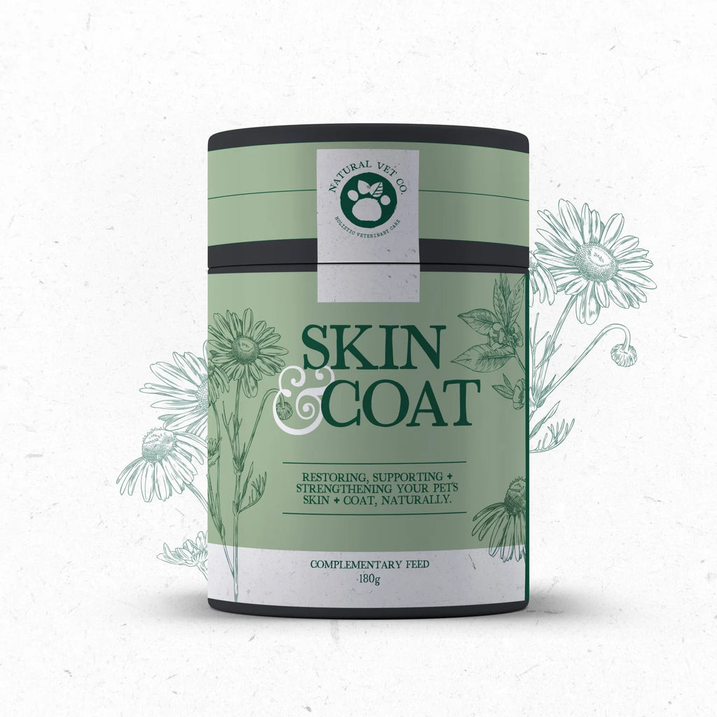 Skin & Coat